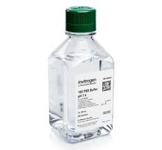 Phosphat Buffer Saline (PBS)