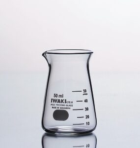 beaker conical from IWAKI