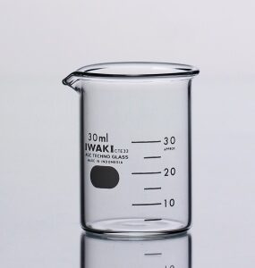 Beaker Low Form IWAKI