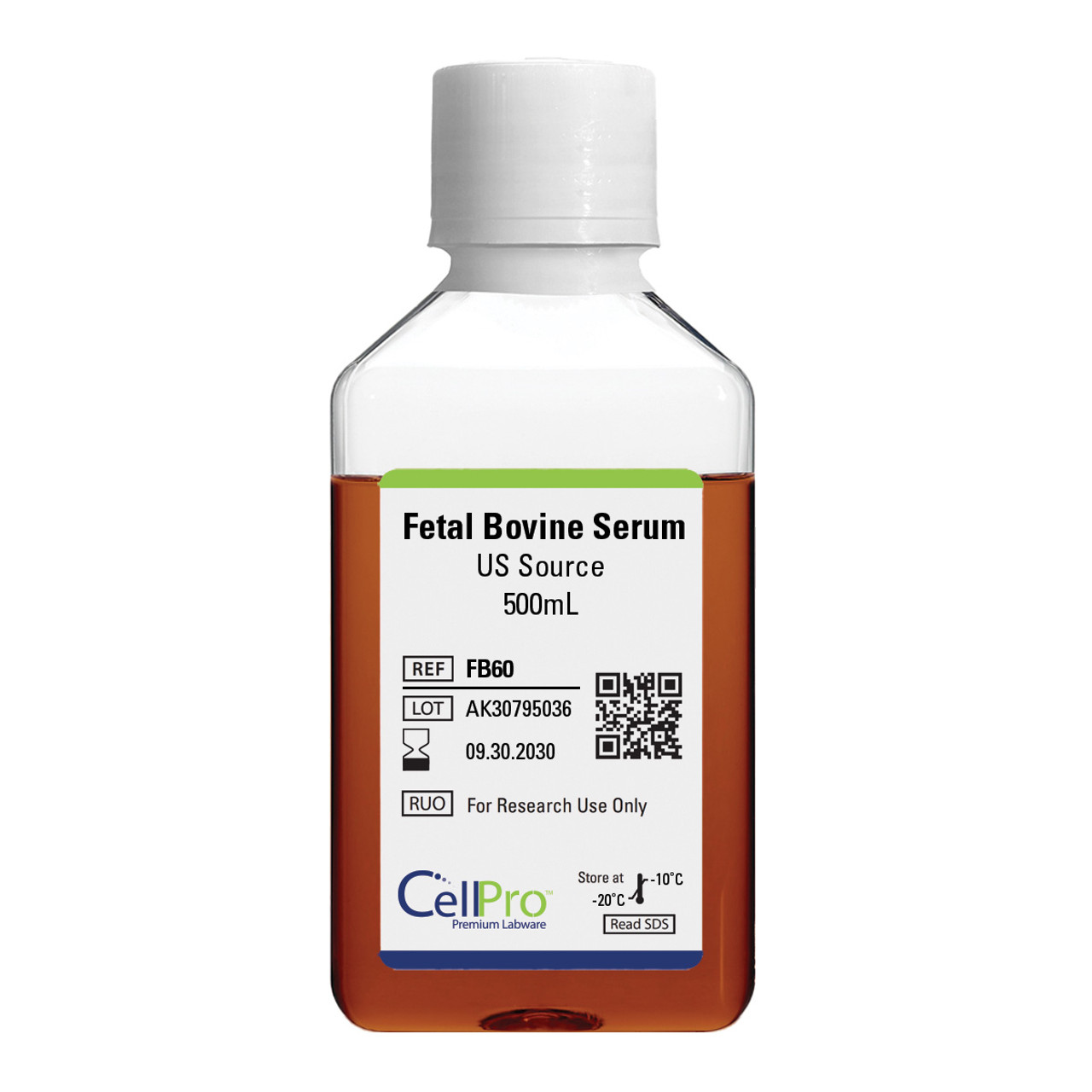Fetal Bovine Serum (FBS)
