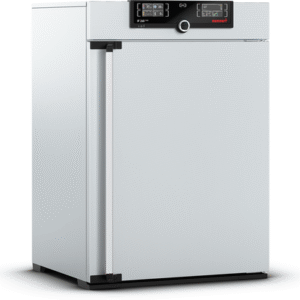 Incubator IF260plus Memmert
