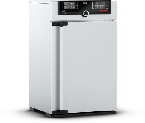 Incubator IF75plus Memmert